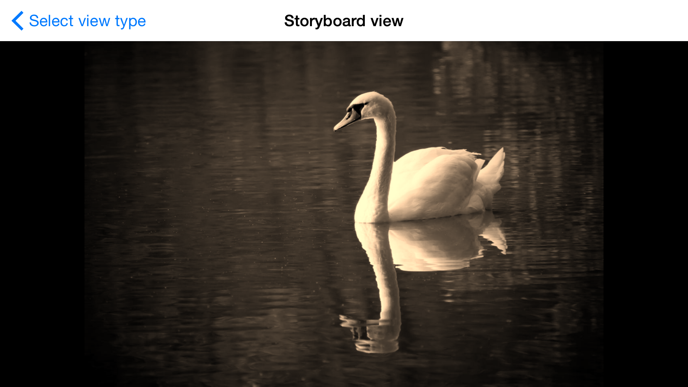 Storybard view