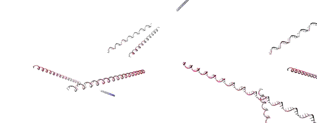 Sam Flores' Simbody RNA simulation