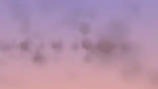 Dawn