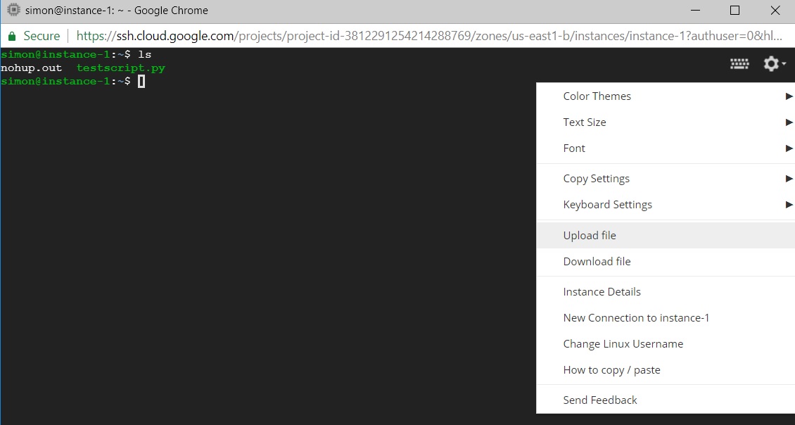 gce-f1microShell