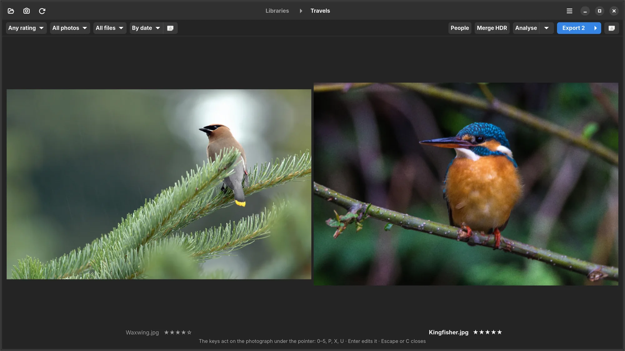 Two bird photographs side by side in Numa's compare view, a waxwing and a kingfisher, each with its star rating.