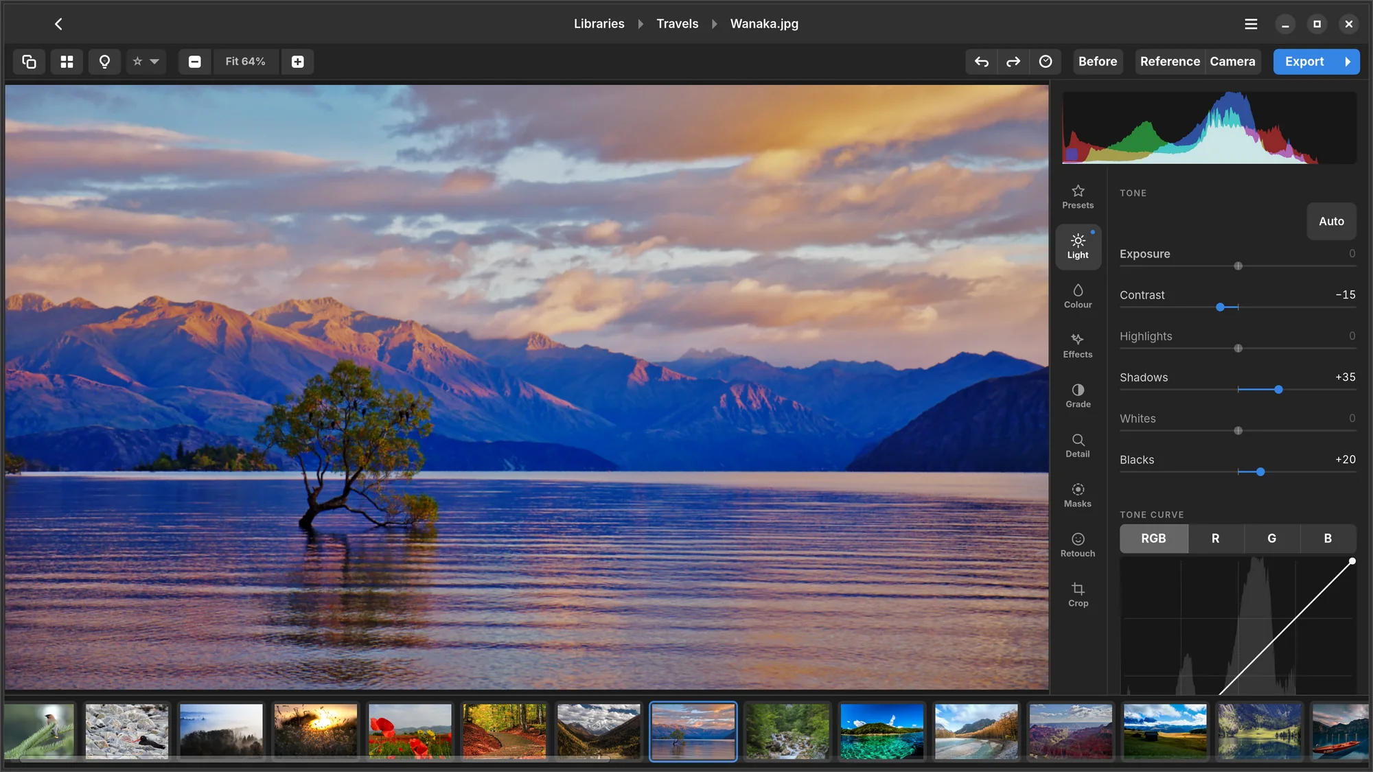 Numa's editor on Linux: a lake at sunset with a lone tree, the Light panel with exposure and tone sliders beside it.