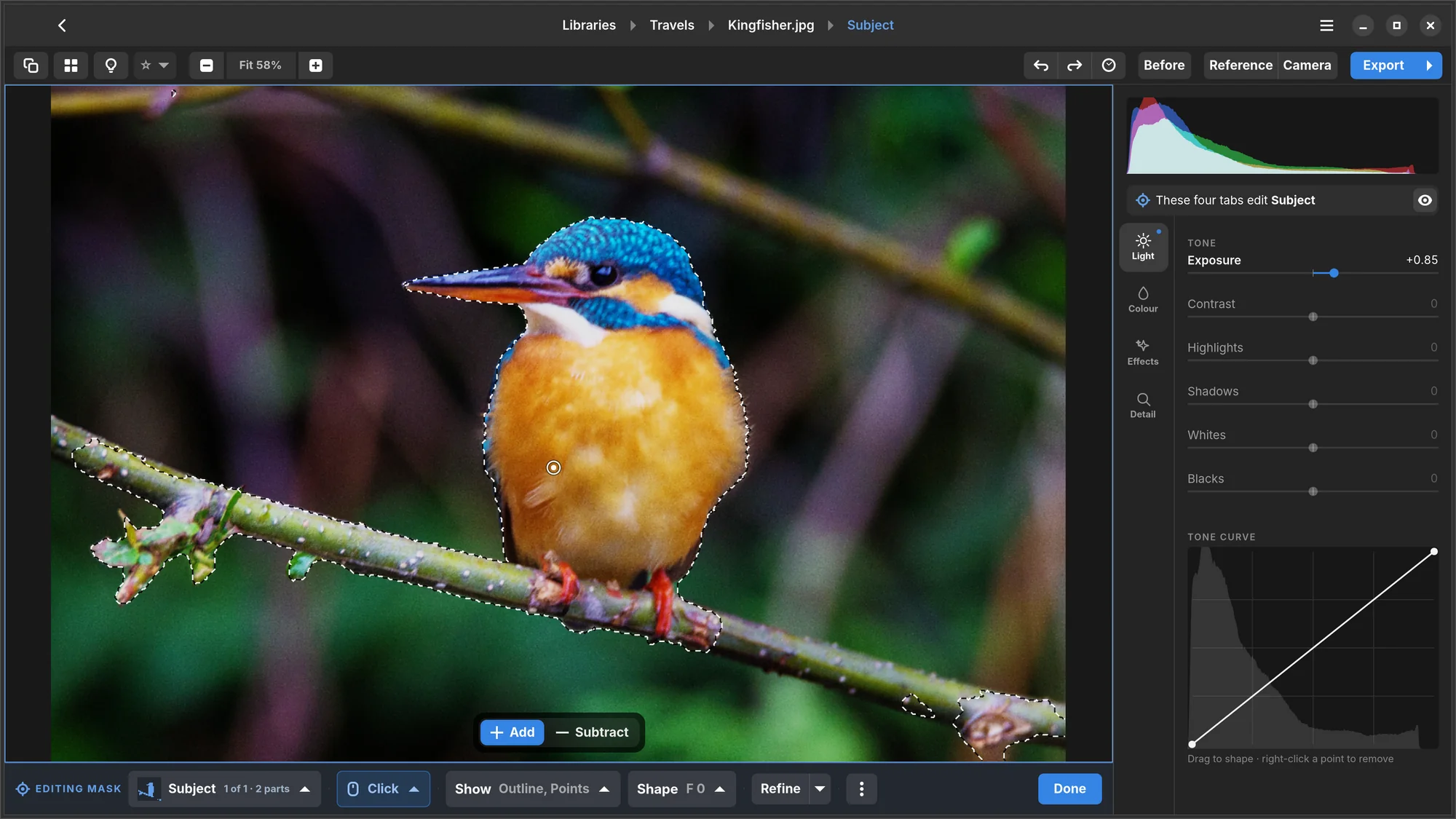 A kingfisher on a branch in Numa with the Subject mask outlined, and the mask's exposure raised to +0.85.
