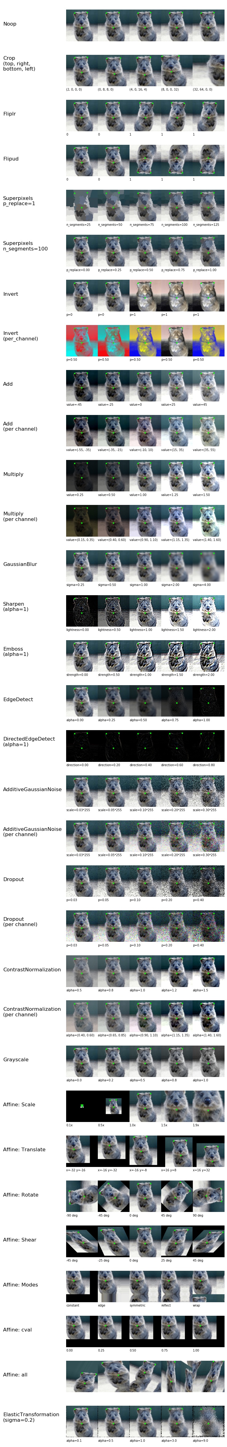 Available augmenters