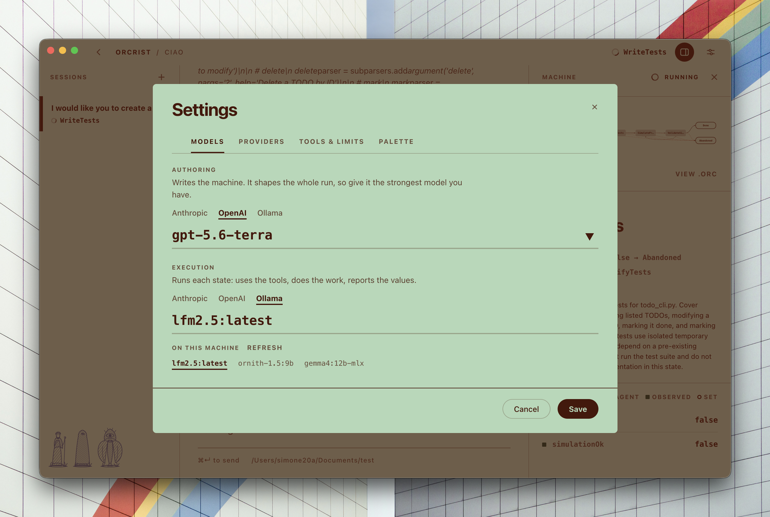 Settings: the authoring and execution model roles, with the locally installed Ollama models listed under the execution role