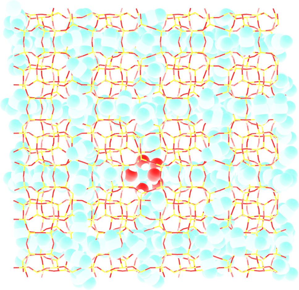 CO2-H2O-MFI