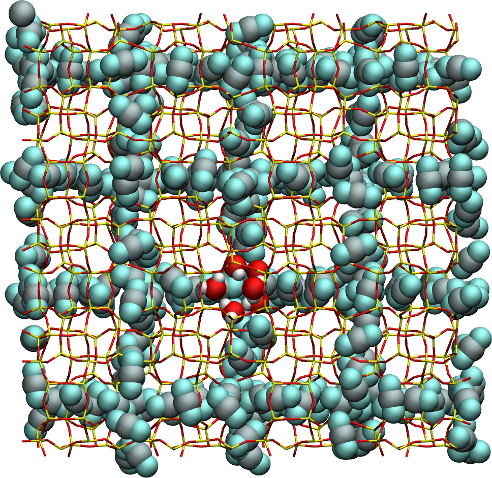 CO2-H2O-MFI