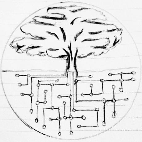 Root Systems logo