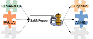 n:n mappings via SaltNPepper