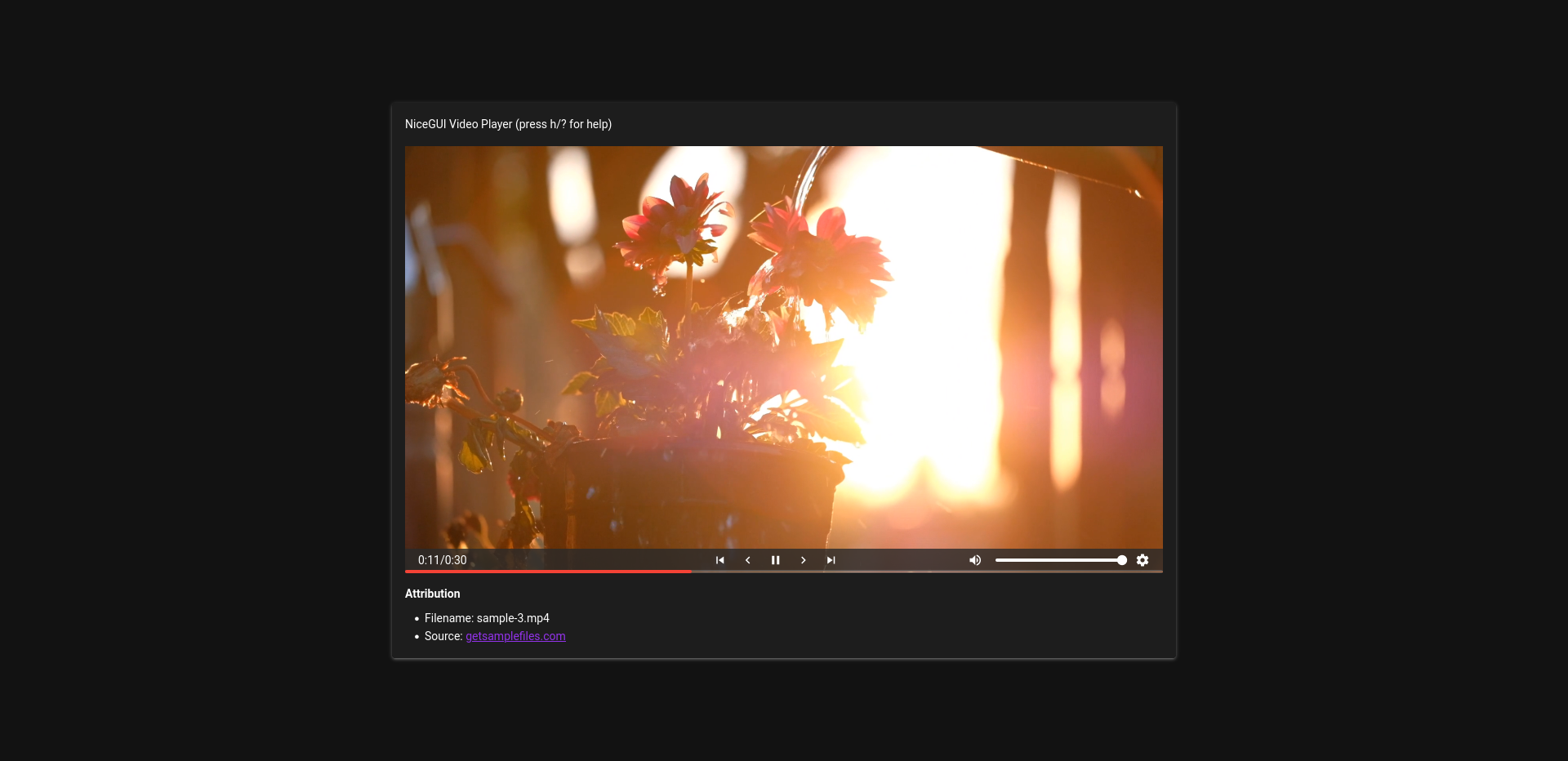 Screenshot of the Video Player