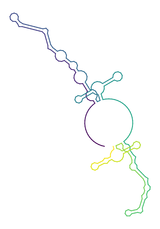 lincRNAp21_IRAlu_Antisense