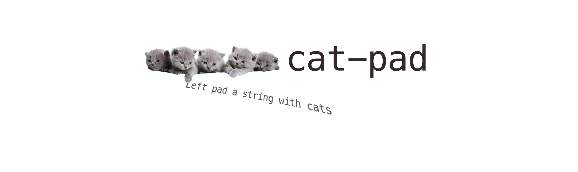 cat-pad