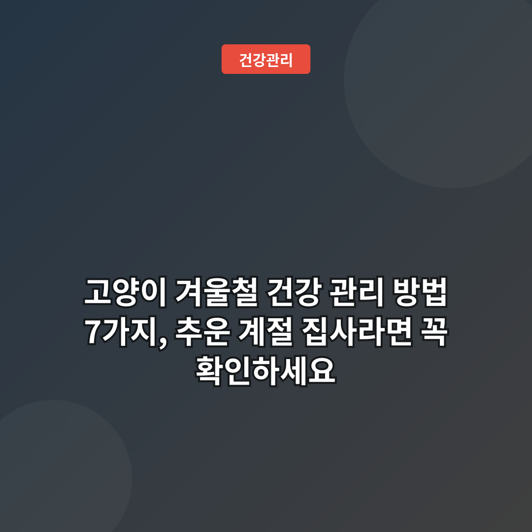 고양이 겨울철 건강 관리 방법 7가지, 추운 계절 집사라면 꼭 확인하세요