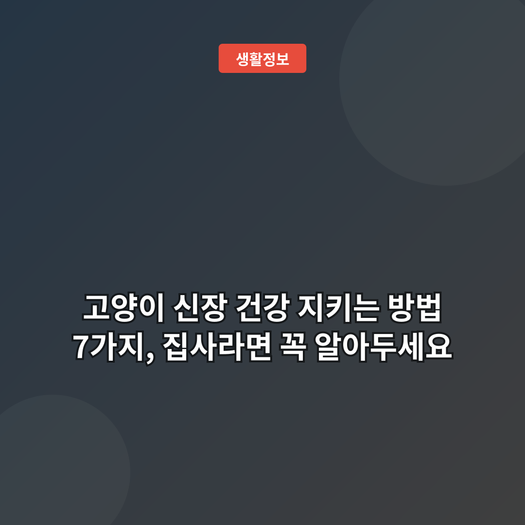 고양이 신장 건강 지키는 방법 7가지, 집사라면 꼭 알아두세요