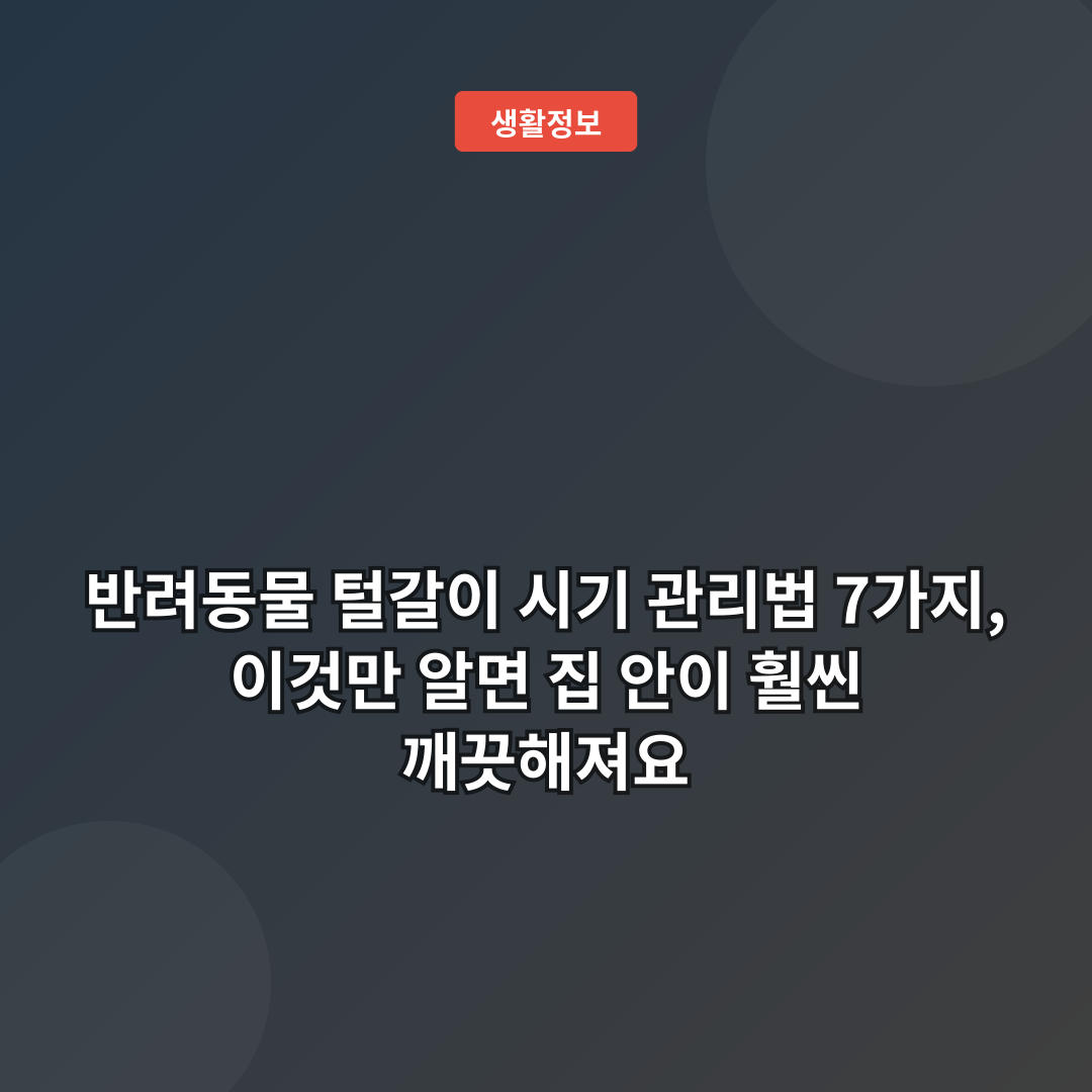 반려동물 털갈이 시기 관리법 7가지, 이것만 알면 집 안이 훨씬 깨끗해져요