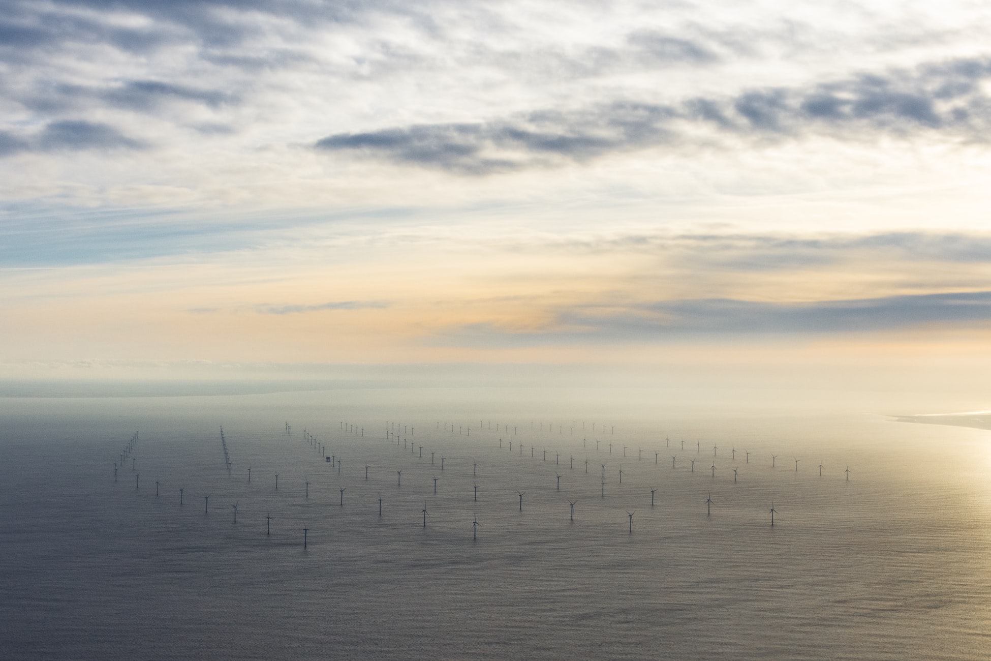 Fields of Windmills in Scotland