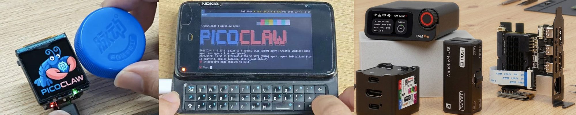 PicoClaw Hardware Compatibility