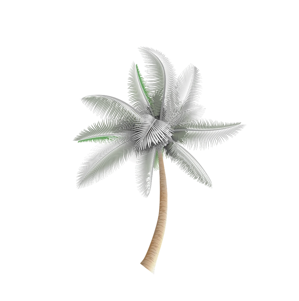 Palm Right