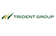 Trident Ltd