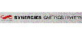 Synergies Castings Ltd 