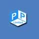 The Paper Products Ltd  