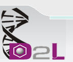 D2L Pharma Research Solution Pvt Ltd