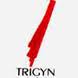 Trigyn Technologies Ltd 