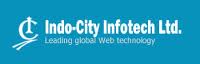 Indo-City Infotech Ltd 
