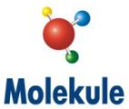 Molekule India Pvt Ltd 