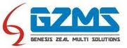 Genesis Zeal Multi Solutions Pvt Ltd 