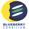 Blueberry Consilium Pvt Ltd