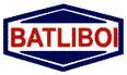 Batliboi Ltd 