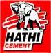 Saurashtra Cement Ltd