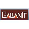 Gallantt Metal Ltd 