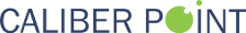 Caliber Point Business Solutions Ltd.