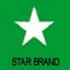 Star Paper Mills Ltd 