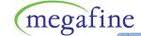 Megafine Pharma Pvt Ltd