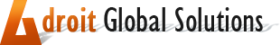 Adroit Global Solutions India Pvt Ltd 