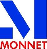 Monnet Ispat & Energy Ltd 