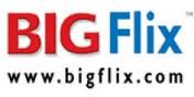 BIG Flicks Pvt Ltd 