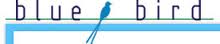Blue Bird India Ltd