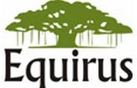 Equirus Capital Pvt Ltd 