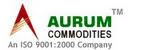Aurum Infocomm Ltd 