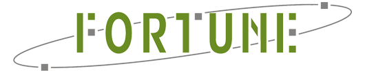 FORTUNE MARKETING PVT LTD
