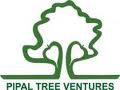 Pipal Tree ventures Private Ltd 