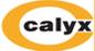 Calyx Chemicals & Pharmaceuticals Ltd