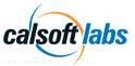 Calsoft Labs India Pvt Ltd 