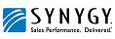 Synygy India Pvt Ltd 