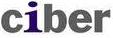 CIBER India Pvt Ltd 