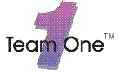 Team One Computers India Pvt Ltd